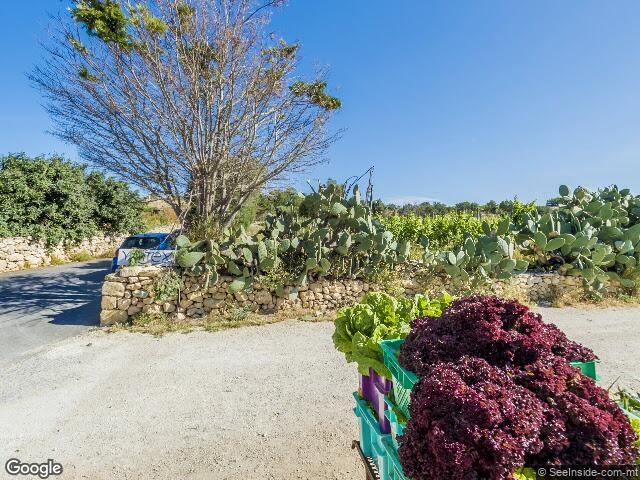 Trejqa tal-Qanfud,  Iż-Żebbiegħ,  L-Imġarr