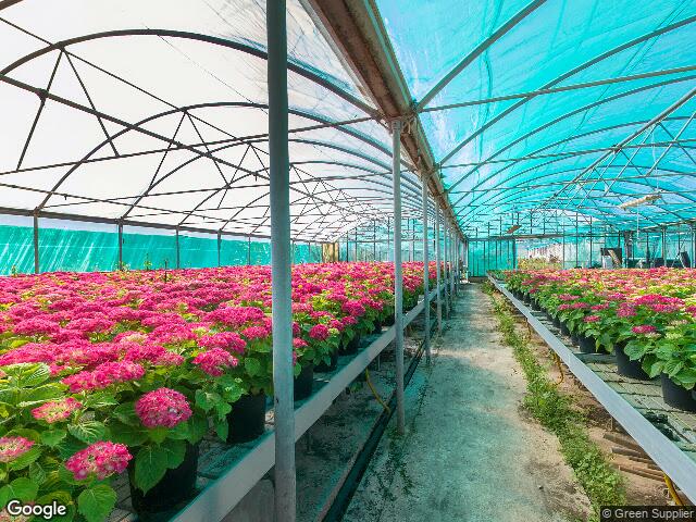 Triq tal-Imdawra,  Burmarrad,  Buġibba