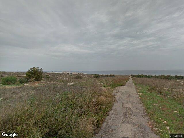 Great reed,  Triq il-Mediterran,  Pembroke