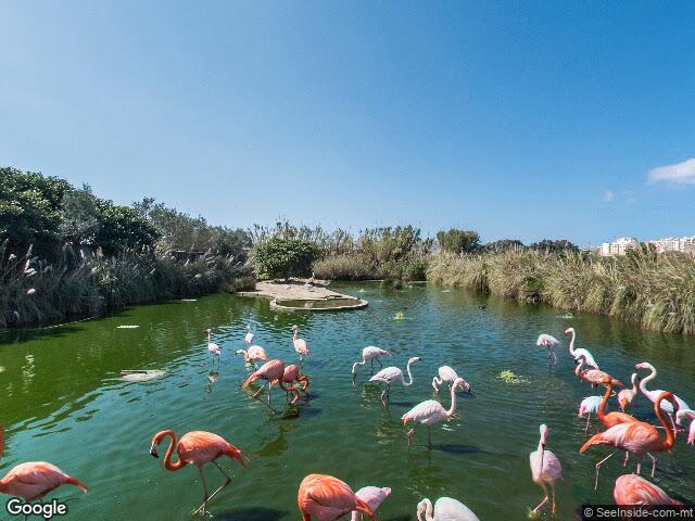 Uncle Matt's Kitchen,  Triq tal-Imdawra,  Burmarrad