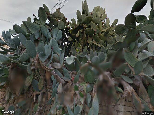 Is-Siġġiewi,  Reġjun tal-Punent,  SGW 1071