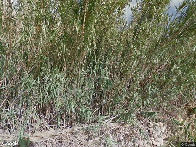 Daħla tal-Għajjun,  Ix-Xagħra,  Reġjun Għawdex