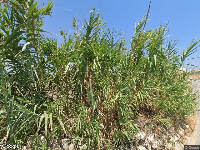 Triq San Anard,  Ħaż-Żabbar,  Reġjun tal-Port